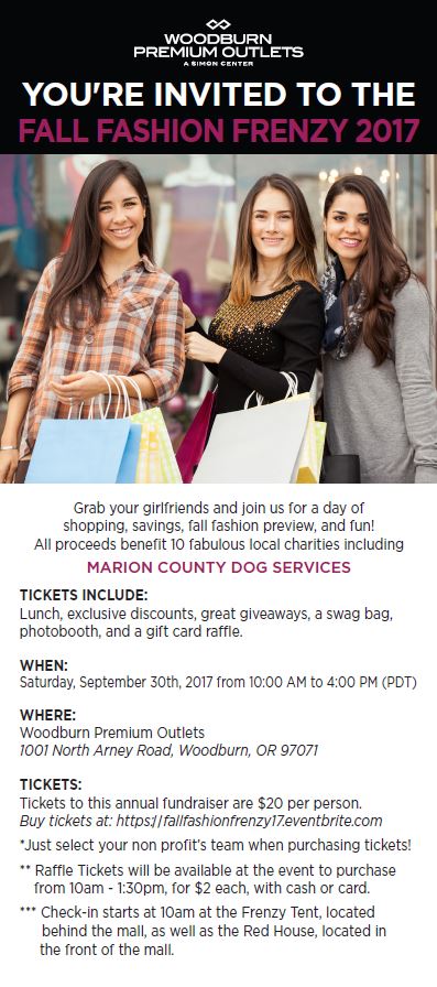 Flyers_2017 image.jpg