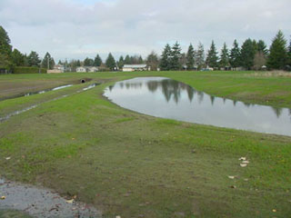 parkdale wetland