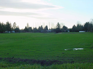 sports field