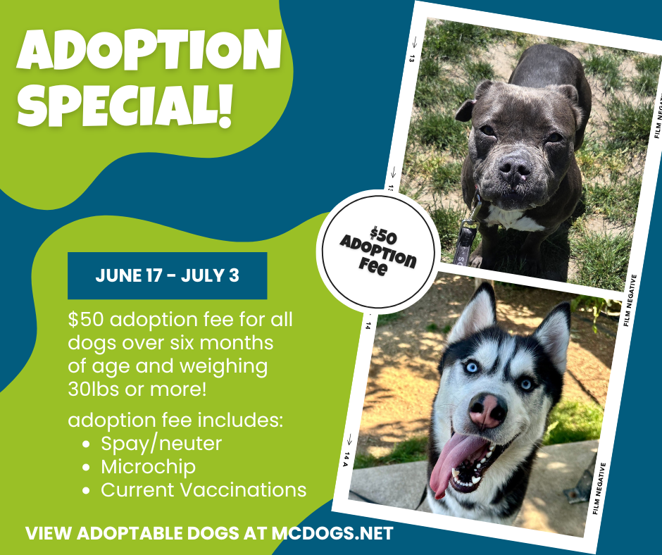 Adoption special.png