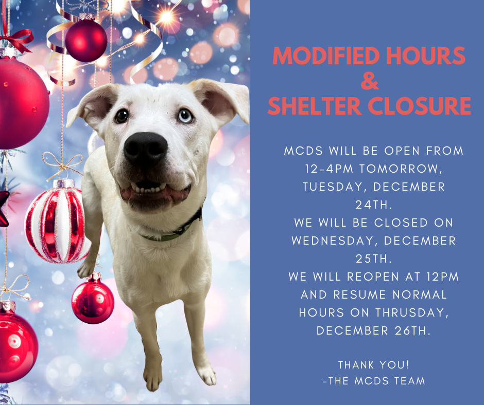 Christmas Shelter Hours.png