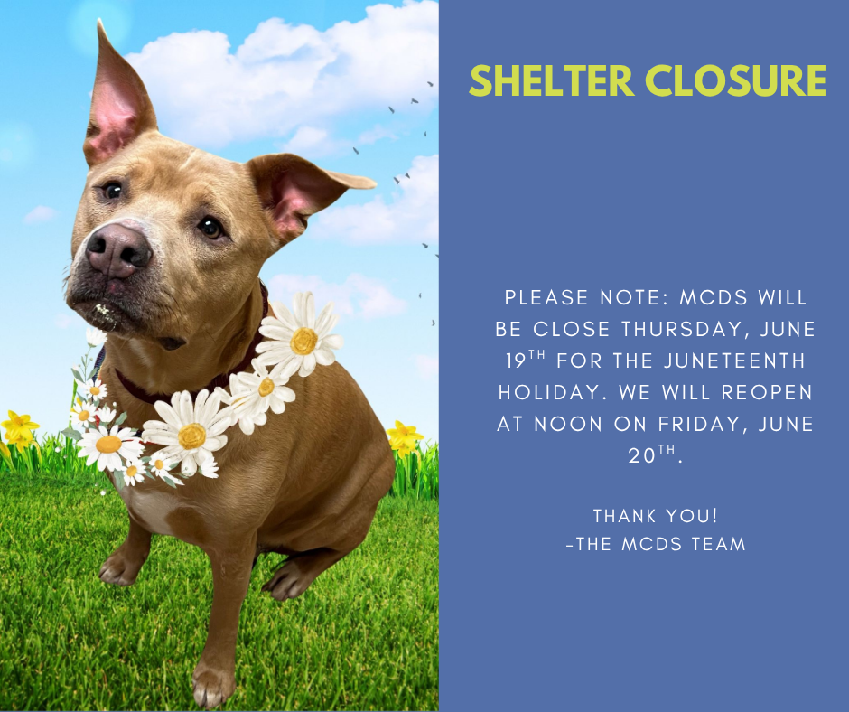 Closure 6.19.png