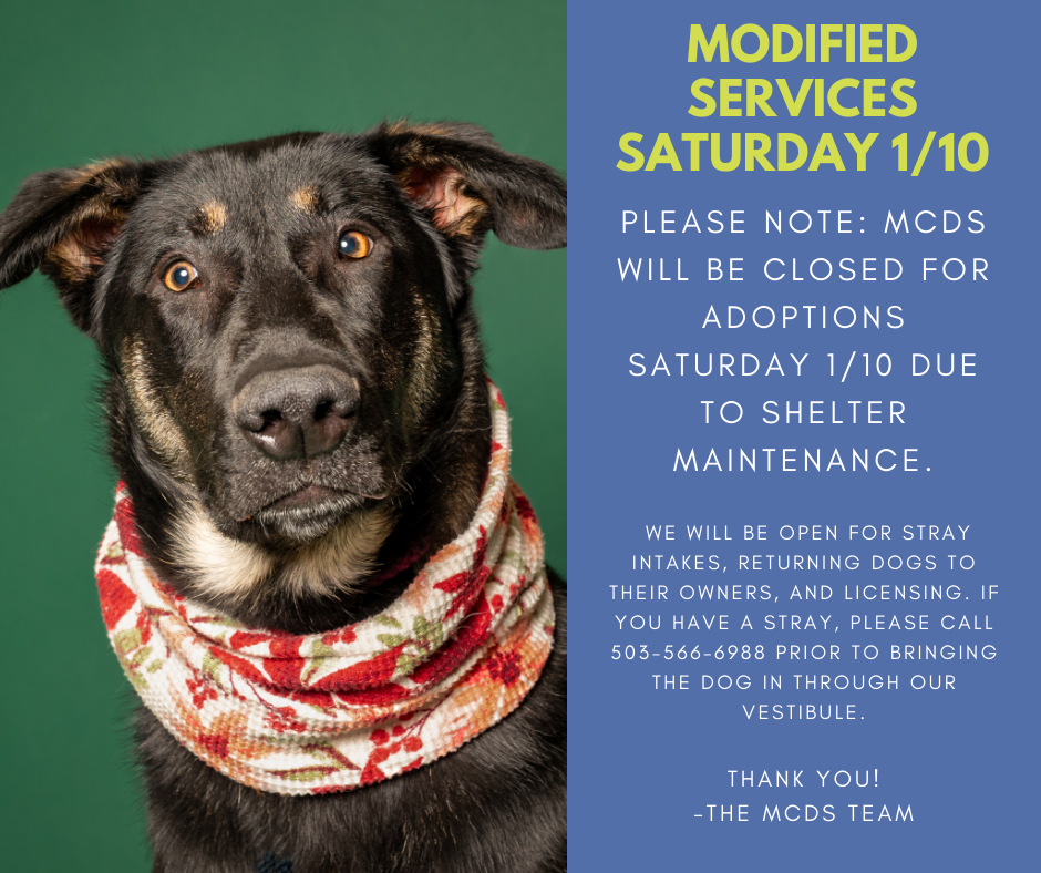 Modified Services 1.7.26.png