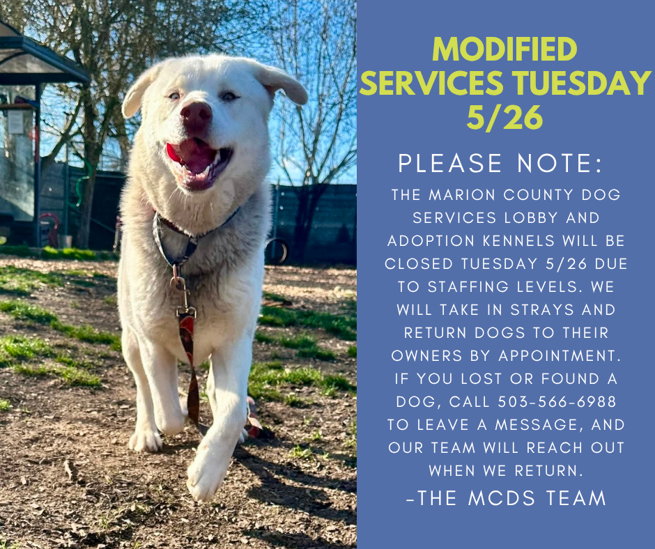 Modified Services 5.26.png