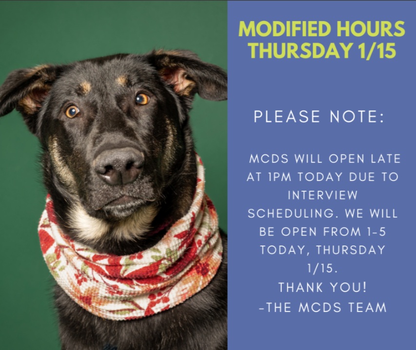 1.15.26 Dog Shelter.jpg