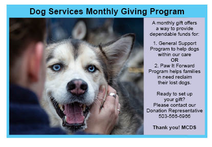 Recurring Donations graphic.jpg