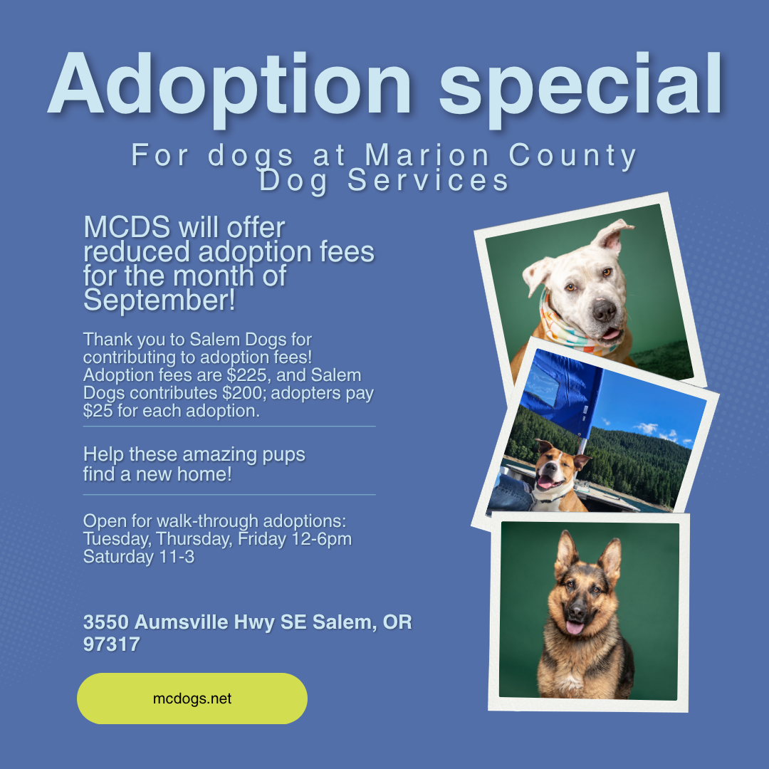 September Adoption Promo png.png
