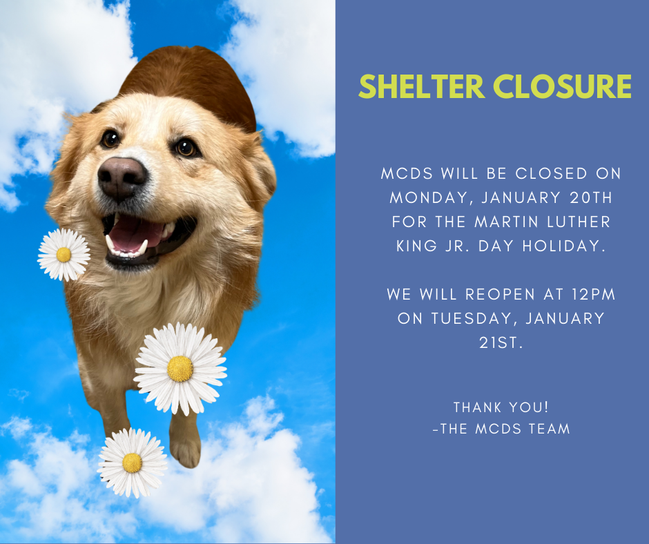 Shelter Closure 1.20.png