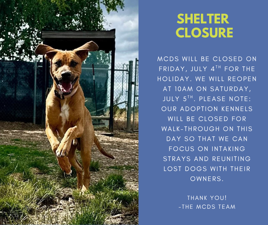 Shelter Closure 7.4.25.png