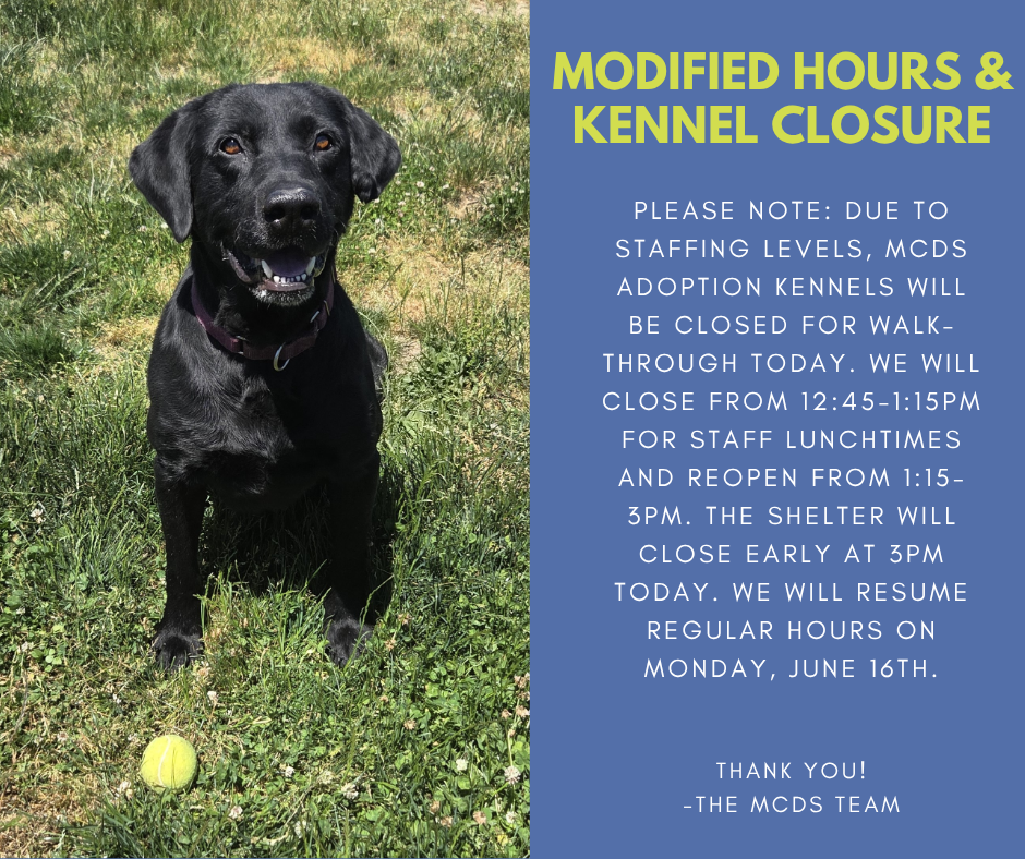 Shelter Closure Modified Hours 6.14.png