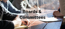 Boards, Coalitions and Committees
