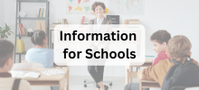 Accessible Information for Schools.png