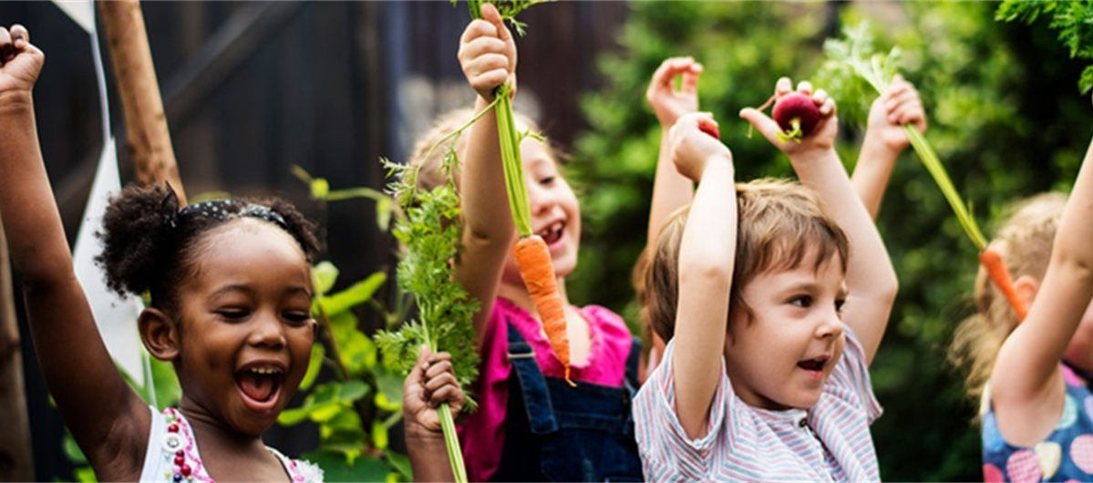 IPC Header Photo.png