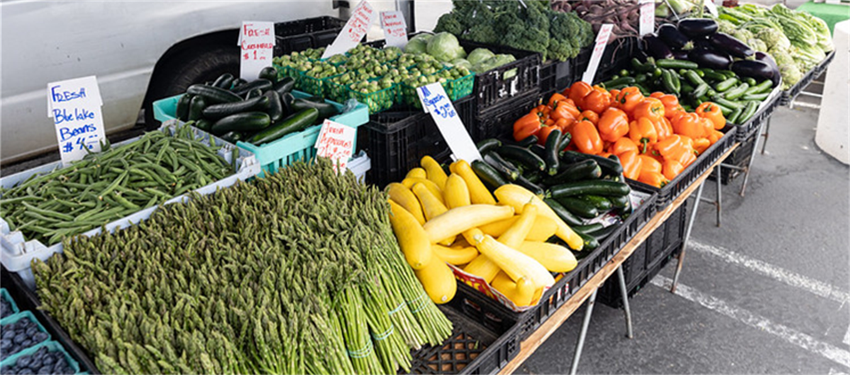 Farm Direct Nutrition Program banner