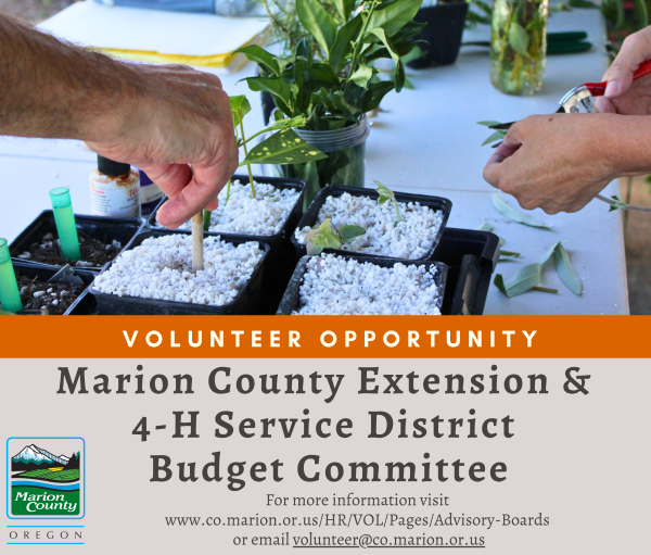 MCE4H Budget Committee 2026 FB reduced.png