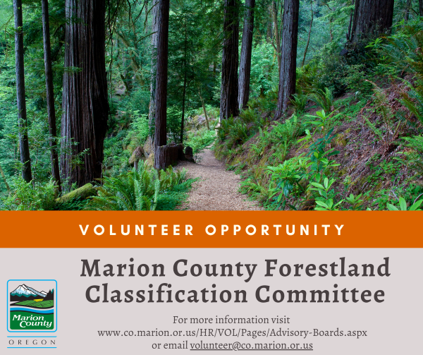 Forestland Classification Recruitment FB reduced.png