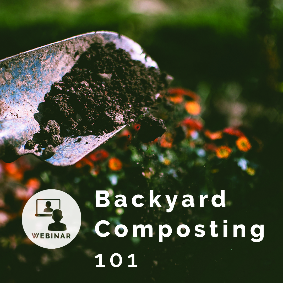 backyard composting 101