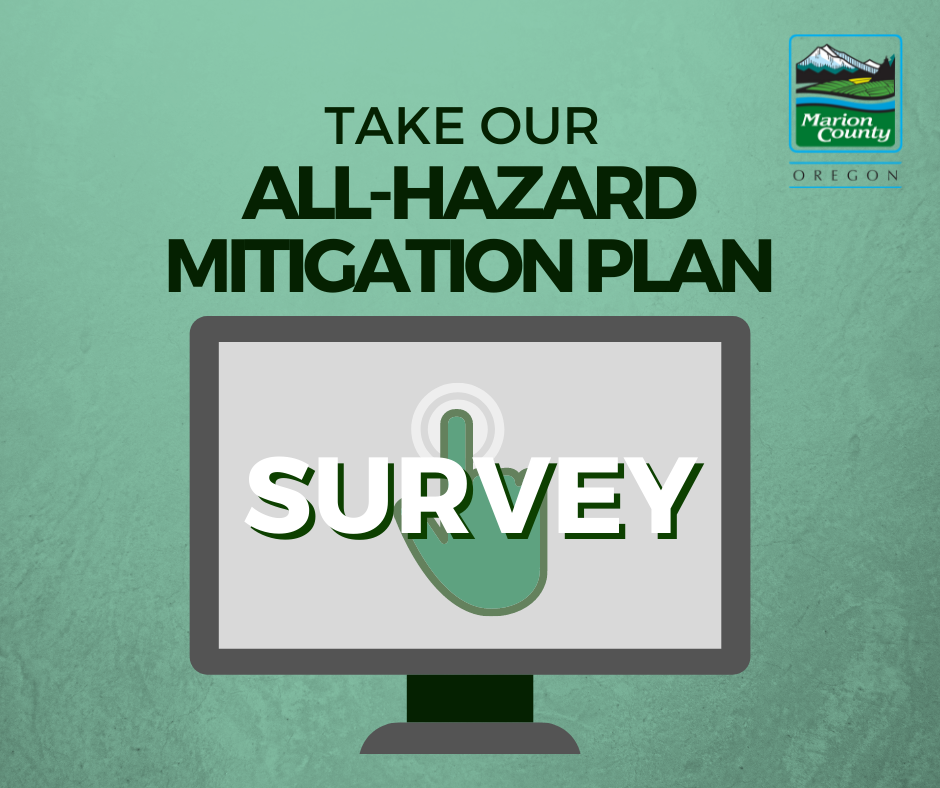 Hazard Mitigation Plan Survey.png