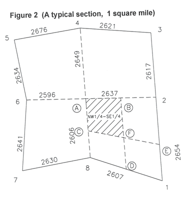 Section Grid
