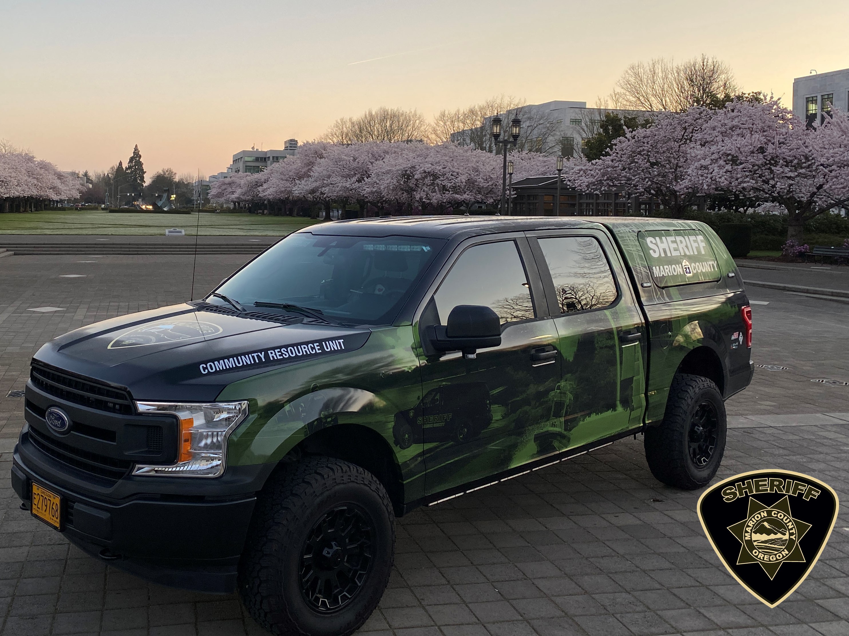 Sheriff Truck with cherry blossom trees